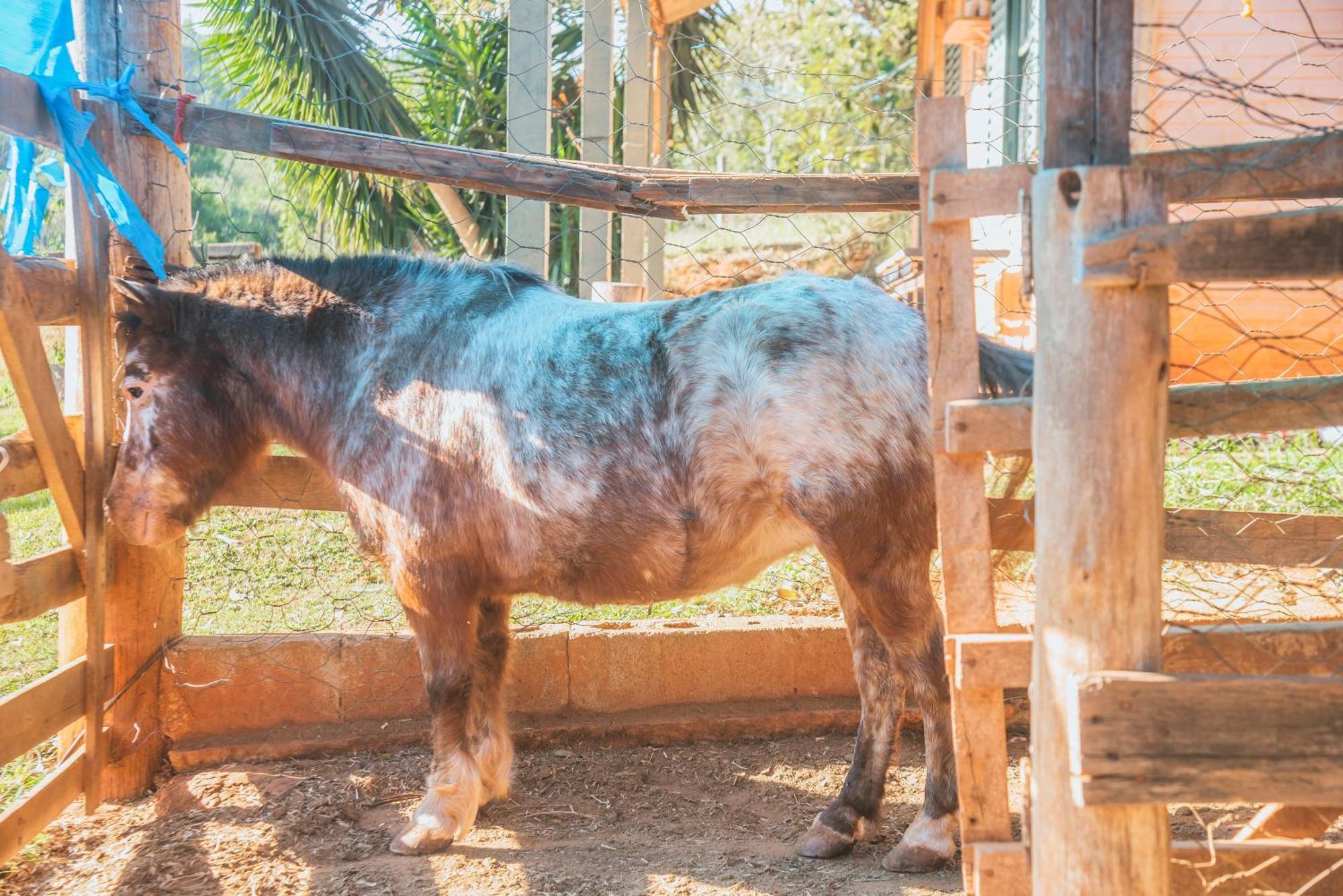 Hotel Fazenda Reviver Araçoiaba da Serra Exteriér fotografie