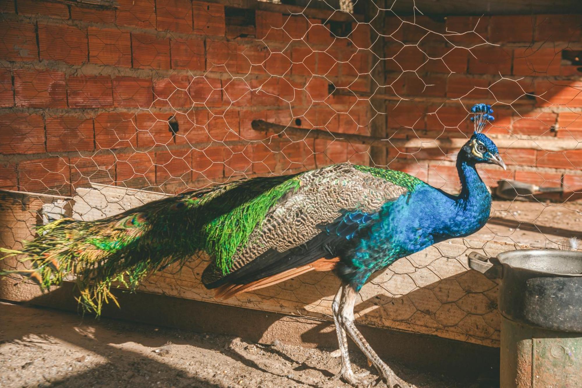 Hotel Fazenda Reviver Araçoiaba da Serra Exteriér fotografie